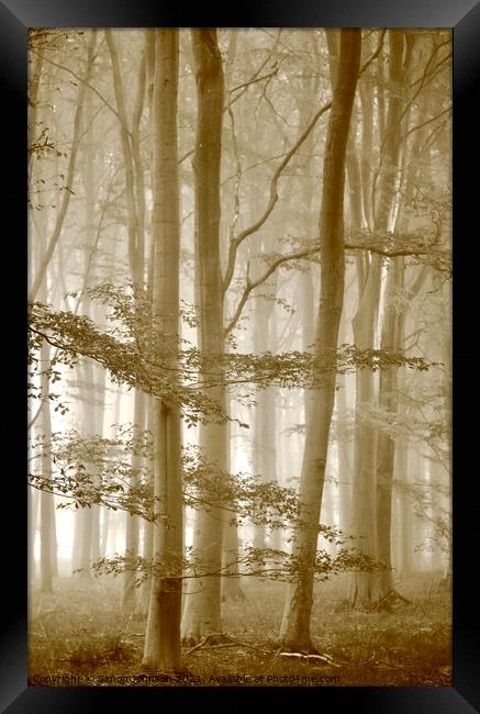 Misty woodland Framed Print by Simon Johnson