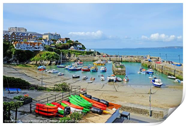 Newquay Harbour Cornwall  Print by Diana Mower