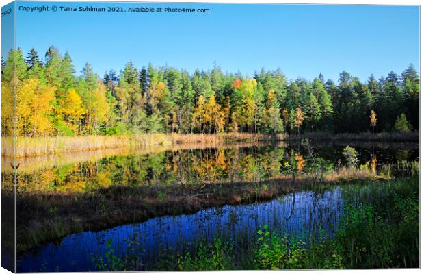 Small Marshland Lake in Fall Colors Canvas Print by Taina Sohlman