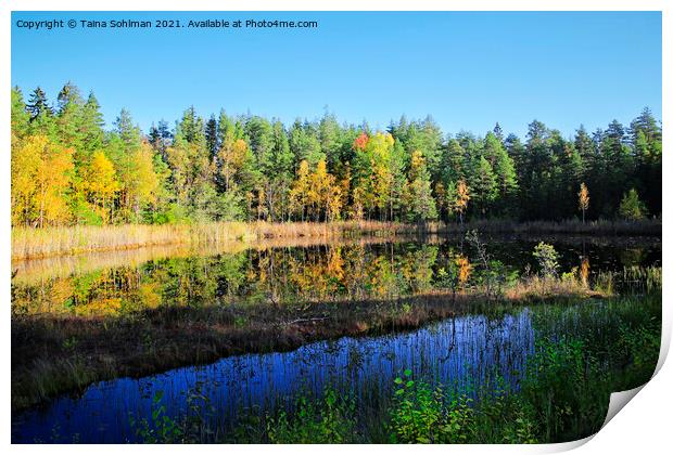 Small Marshland Lake in Fall Colors Print by Taina Sohlman