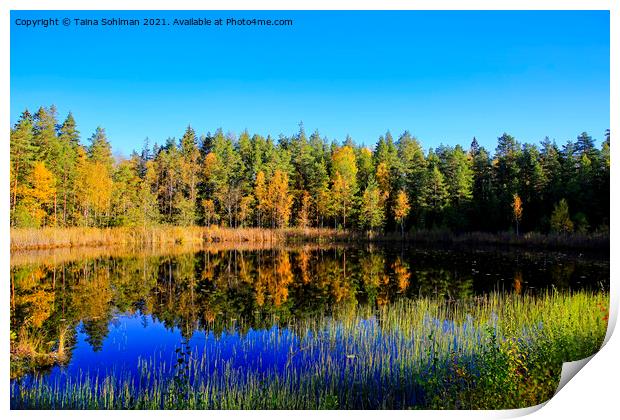 Small Marshland Lake in Autumnal Colors Print by Taina Sohlman