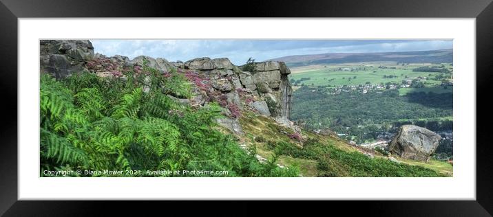 The Cow and Calf Ilkley Panoramic Framed Mounted Print by Diana Mower
