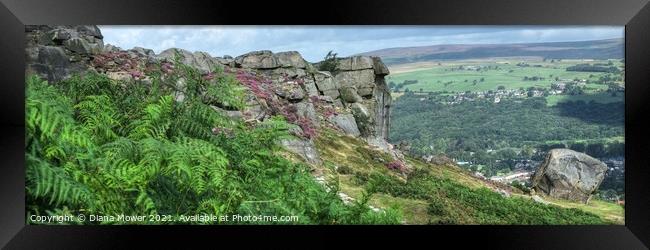 The Cow and Calf Ilkley Panoramic Framed Print by Diana Mower