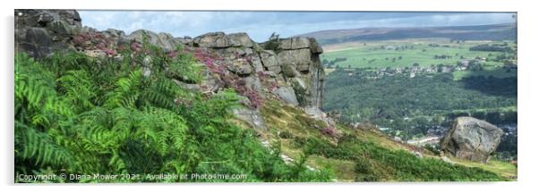 The Cow and Calf Ilkley Panoramic Acrylic by Diana Mower