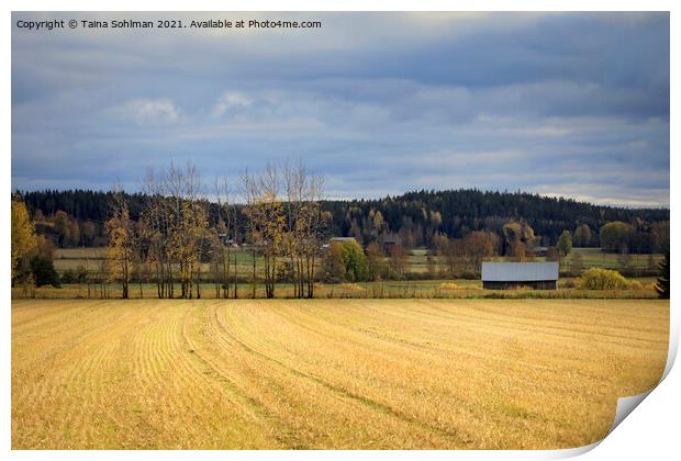 October Afternoon in the Country Print by Taina Sohlman