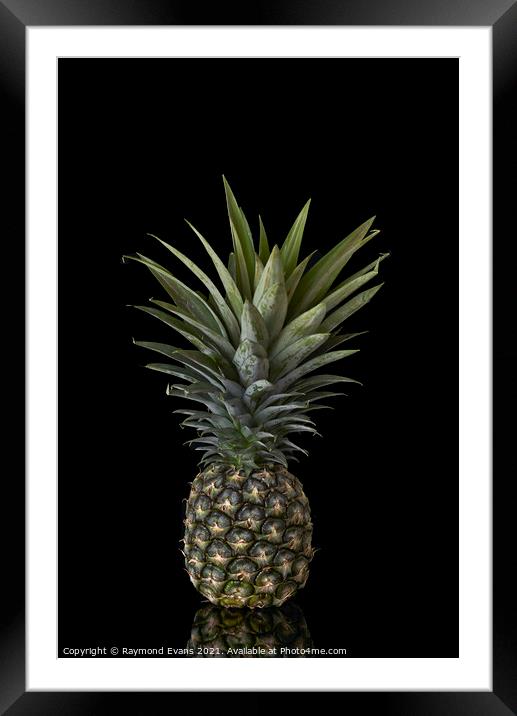 Pineapple Framed Mounted Print by Raymond Evans