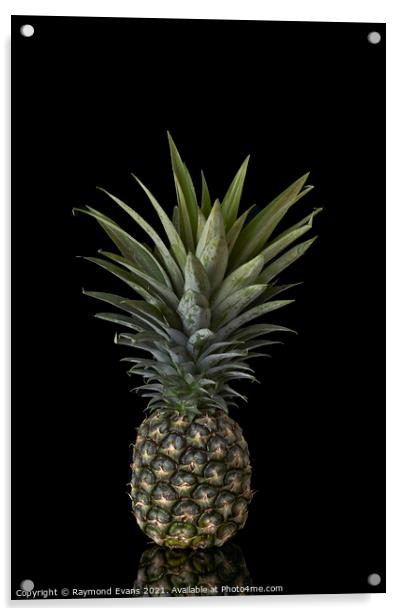 Pineapple Acrylic by Raymond Evans