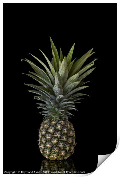 Pineapple Print by Raymond Evans