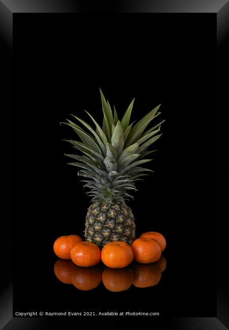 Tropical Fruit Framed Print by Raymond Evans