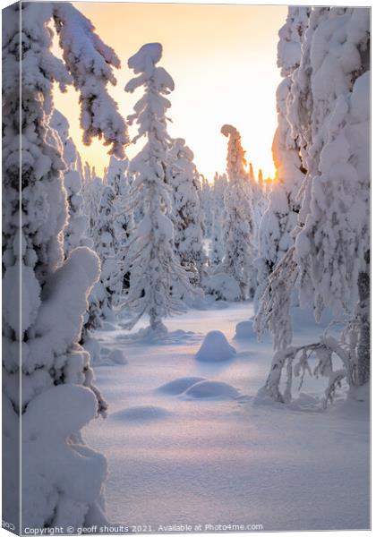 Arctic Winter Canvas Print by geoff shoults