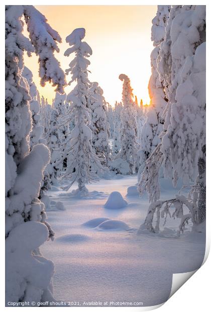 Arctic Winter Print by geoff shoults