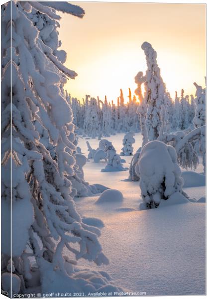 Arctic Winter II Canvas Print by geoff shoults