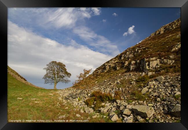 Sycamore Gap, Hadrian's Wall Northumberland Framed Print by Heather Athey