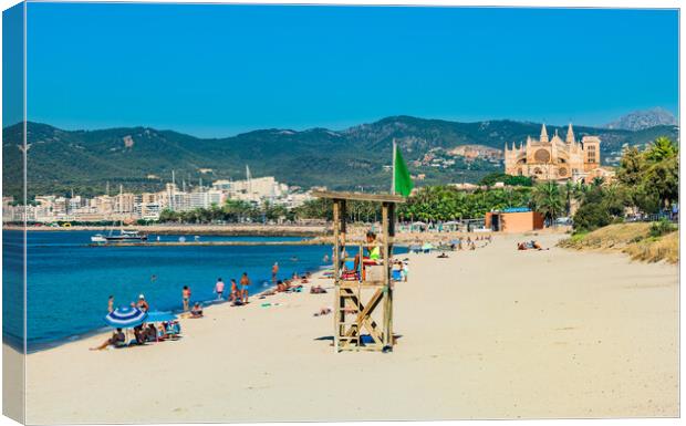 Palma de Majorca with view of Cathedral, Spain  Canvas Print by Alex Winter