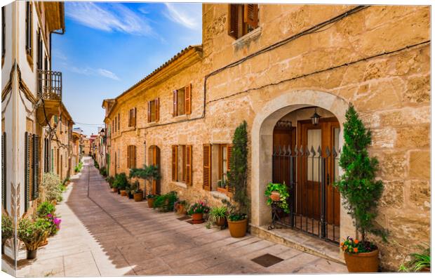 Potted plants in Alcudia on Mallorca, Spain Canvas Print by Alex Winter