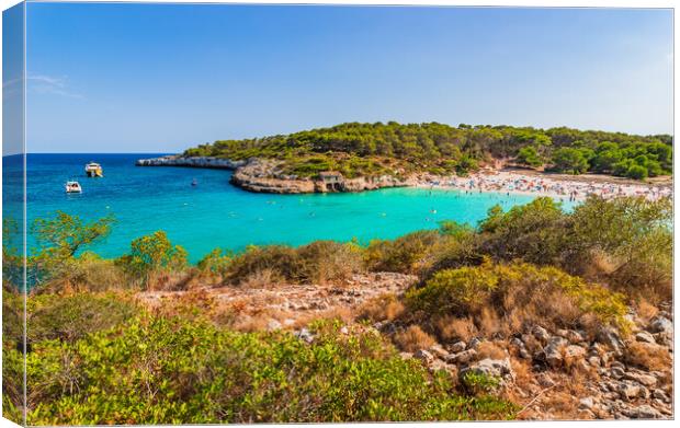 Beautiful beach bay Cala SAmarador on Mallorca island, Spain Canvas Print by Alex Winter