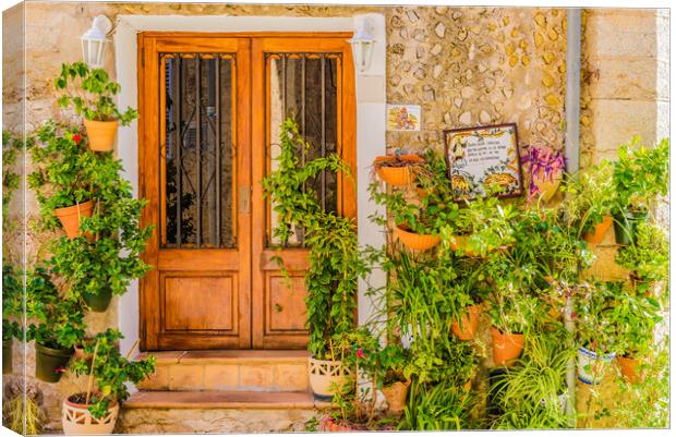 Potted plants in the old village of Valldemossa Canvas Print by Alex Winter