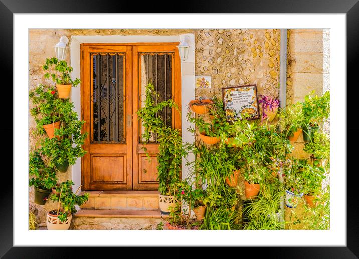 Potted plants in the old village of Valldemossa Framed Mounted Print by Alex Winter