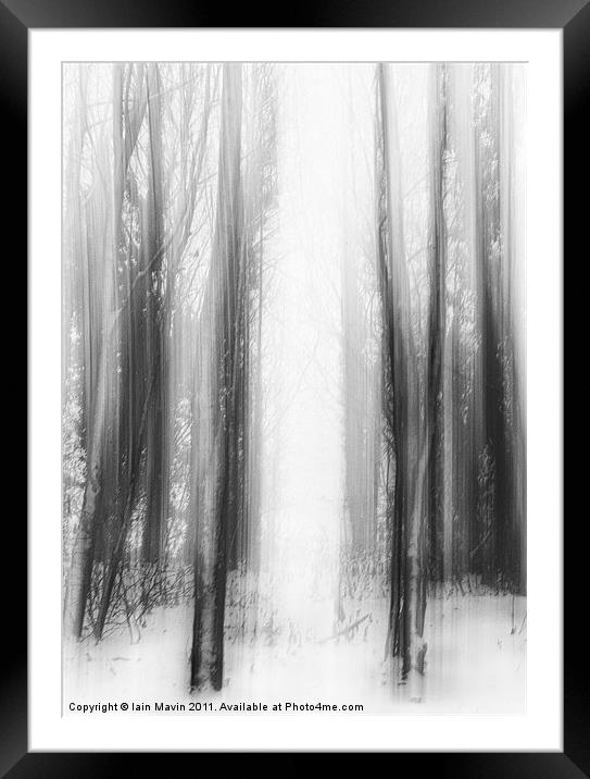 Snow Trees Framed Mounted Print by Iain Mavin