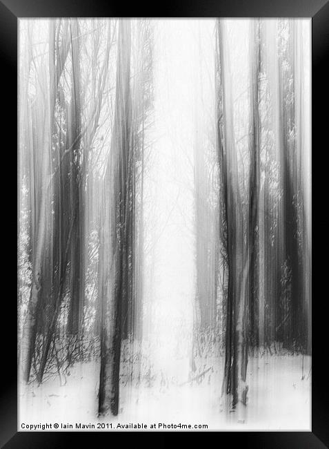 Snow Trees Framed Print by Iain Mavin