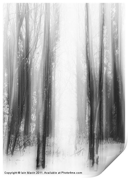 Snow Trees Print by Iain Mavin