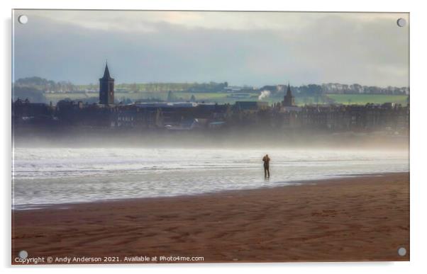 Seascape Beach Photographer Acrylic by Andy Anderson