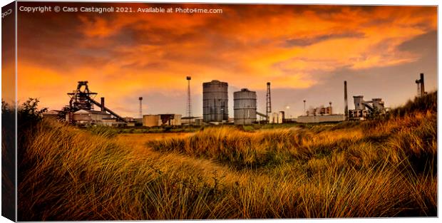 Steel on a Golden Landscape Canvas Print by Cass Castagnoli