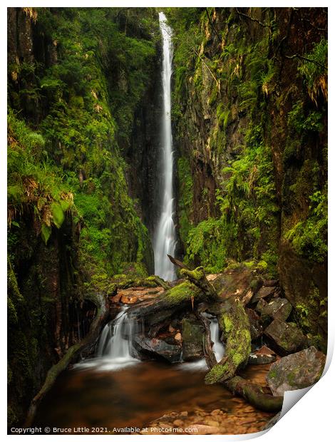 Majestic Scale Force Waterfall Print by Bruce Little