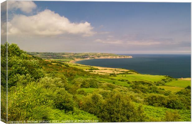 Robin Hoods Bay, North Yorkshire Moors National Pa Canvas Print by Michael Shannon