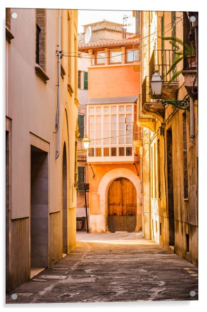 Old town of Palma de Mallorca Acrylic by Alex Winter