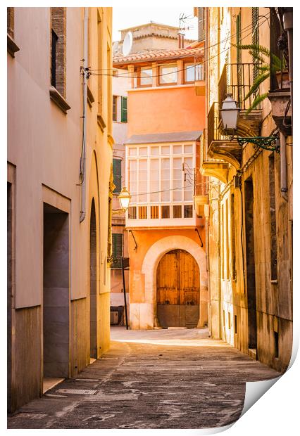 Old town of Palma de Mallorca Print by Alex Winter