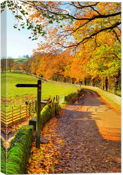 Rural country lane in autumn, Derbyshire. Canvas Print by David Birchall