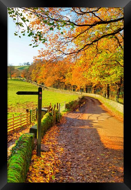 Rural country lane in autumn, Derbyshire. Framed Print by David Birchall