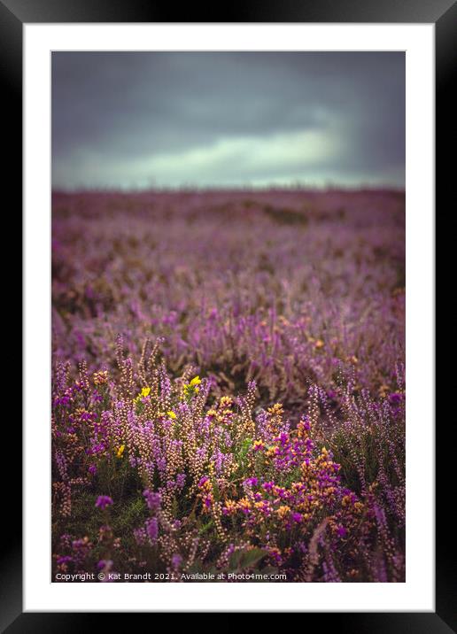New Forest Heather and Gorse Framed Mounted Print by KB Photo