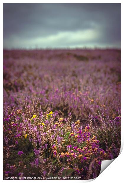 New Forest Heather and Gorse Print by KB Photo