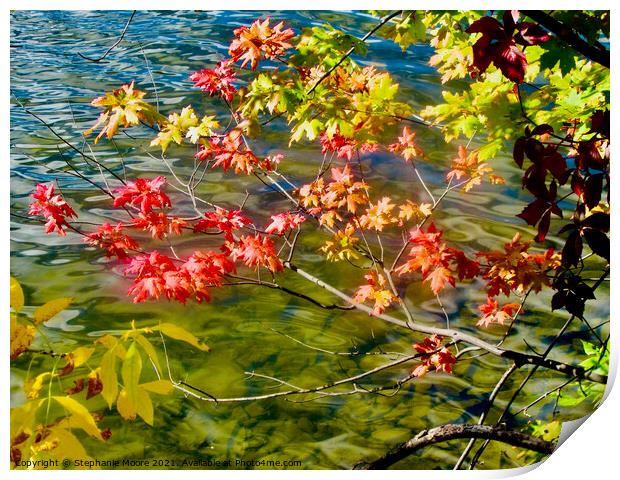 Fall leaves Print by Stephanie Moore