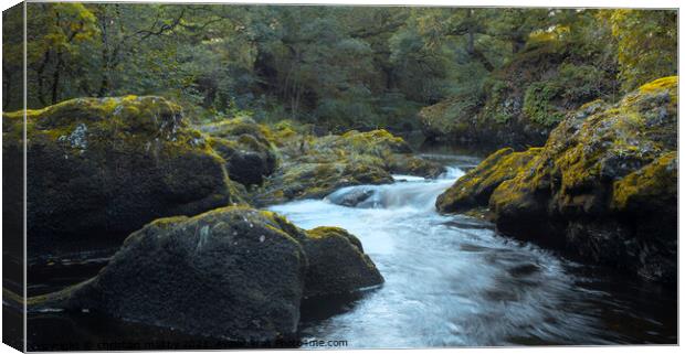 Light on scaur water Penpont Dumfries Canvas Print by christian maltby