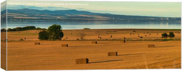 Autumn Haybales and the River Tay, near Newburgh, Fife Canvas Print by Navin Mistry