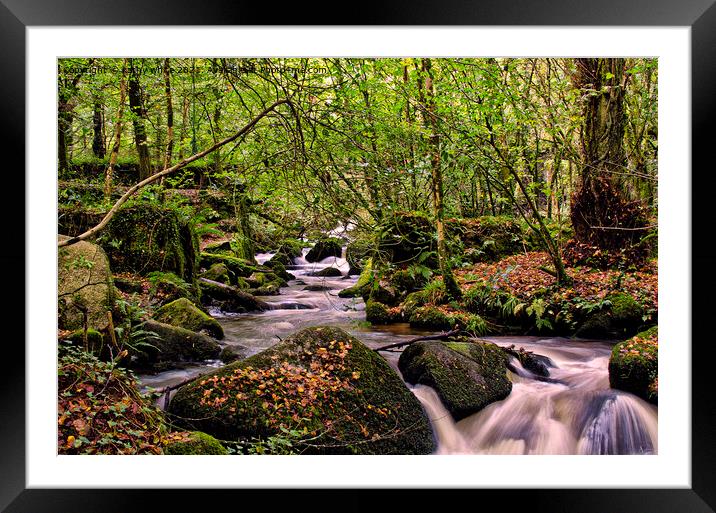 Kennall Vale Cornwall, Framed Mounted Print by kathy white