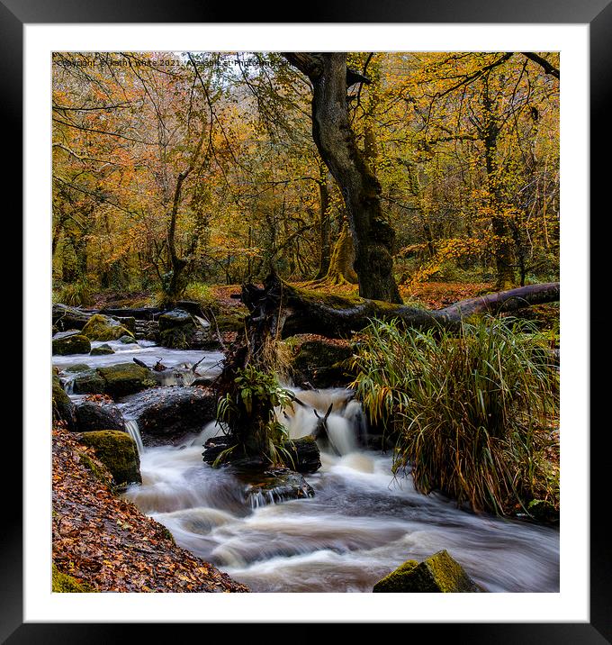 Kennall Vale,Autumn in Cornwall Framed Mounted Print by kathy white