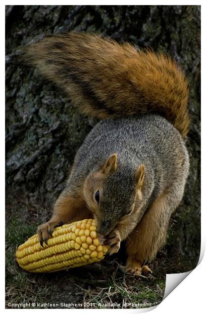 Corn for Lunch Print by Kathleen Stephens