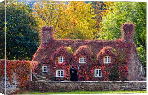 Tu Hwnt i'r Bont Llanrwst Autumn Wales Canvas Print by Pearl Bucknall