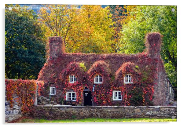 Tu Hwnt i'r Bont Llanrwst Autumn Wales Acrylic by Pearl Bucknall