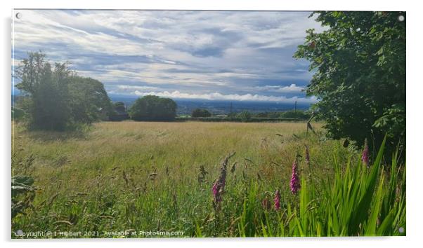 Looking to the Cheshire Plains Acrylic by I Hibbert