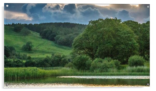 Esthwaite Water at dusk Acrylic by Phil Longfoot