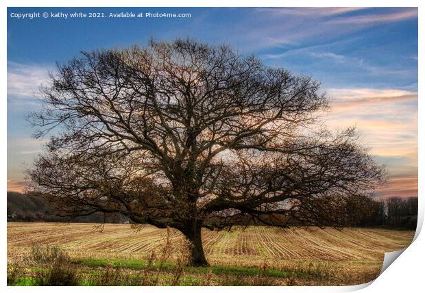 Lone tree in the autumn sunset Print by kathy white
