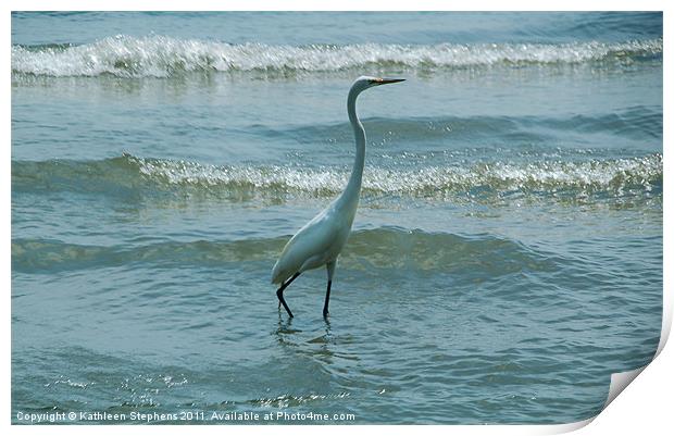 Egret In The Evening Print by Kathleen Stephens