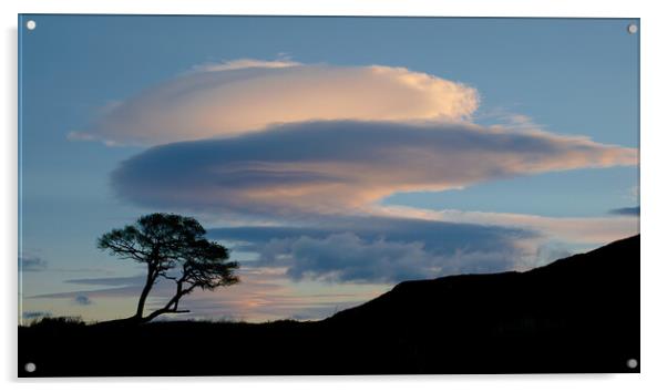 Lenticular Silhouette Acrylic by Macrae Images