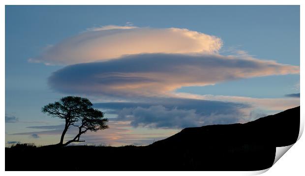 Lenticular Silhouette Print by Macrae Images