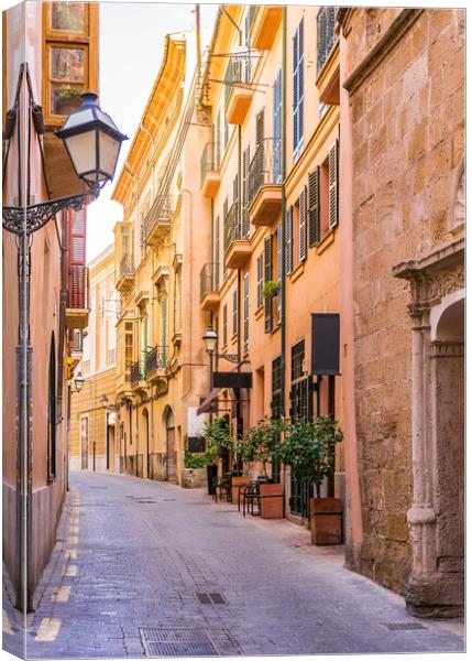 Street at the old town of Palma de Mallorca Canvas Print by Alex Winter